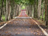Trouver sa voie professionnelle : le guide complet